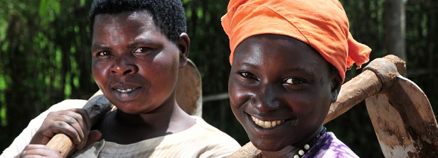 What is micro credit for businesses?